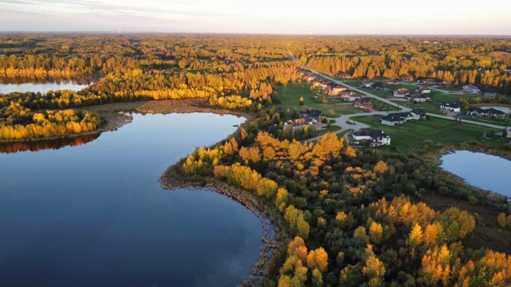 Drone photo of fall colours at Spring Lake Ranch